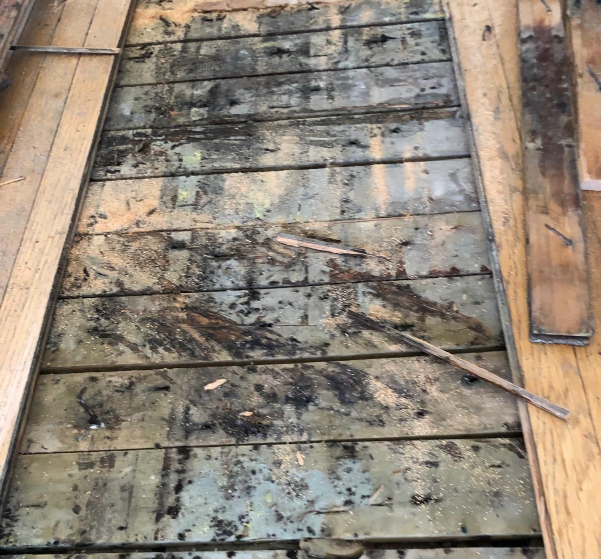 Mold removal example 1