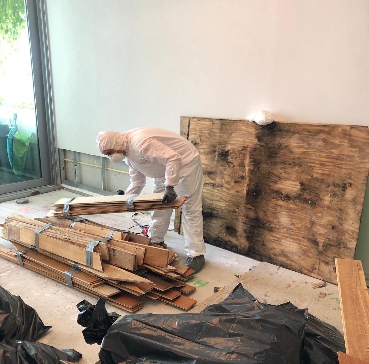 Mold removal example 2