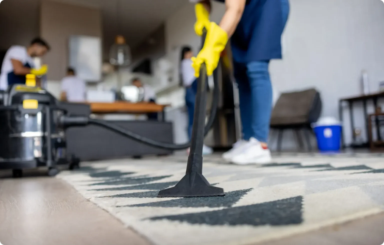 Professional cleaning services